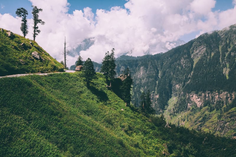 beautiful trees and road with car in scenic mountains, Indian Himalayas, Rohtang Pass